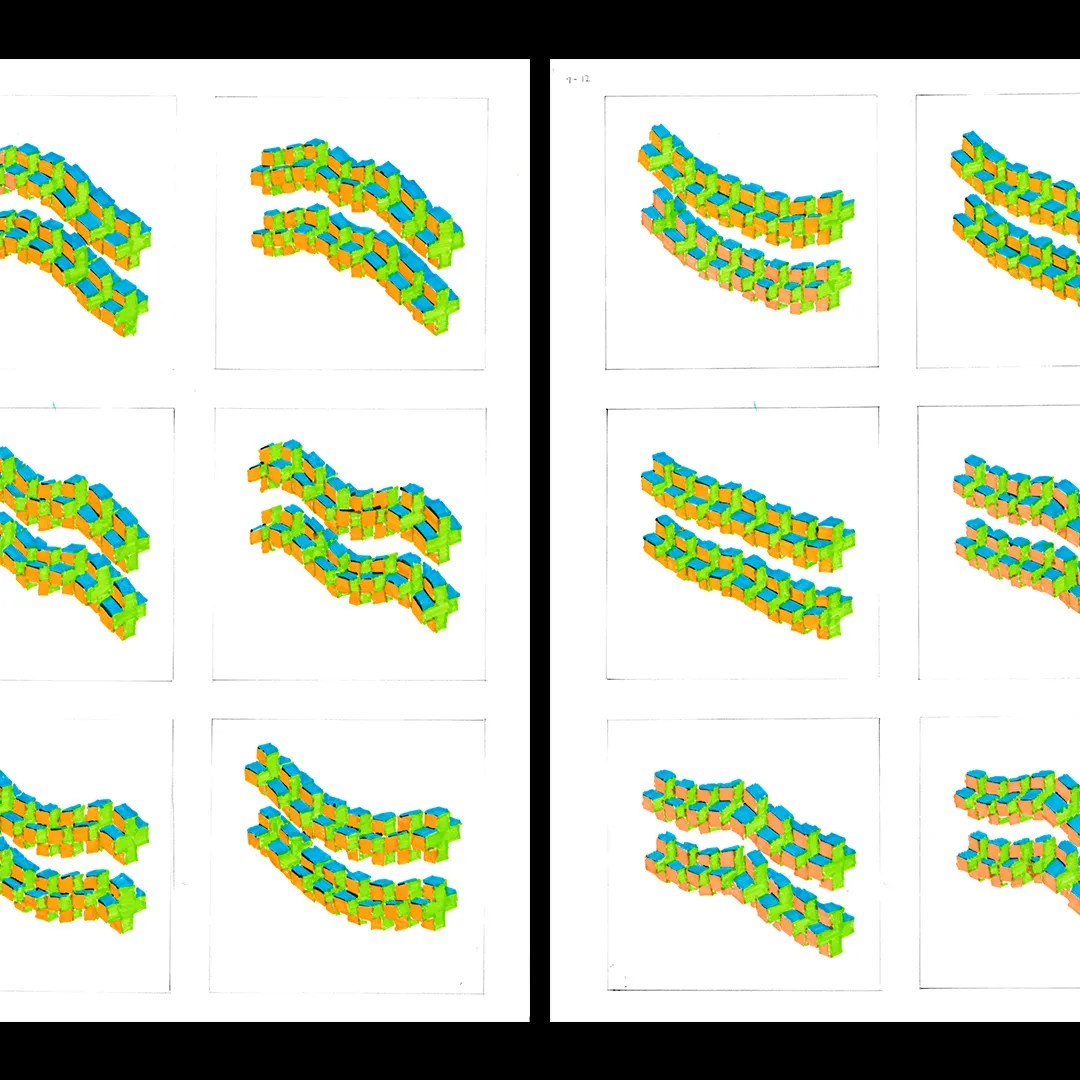 Daily rotoscoping study